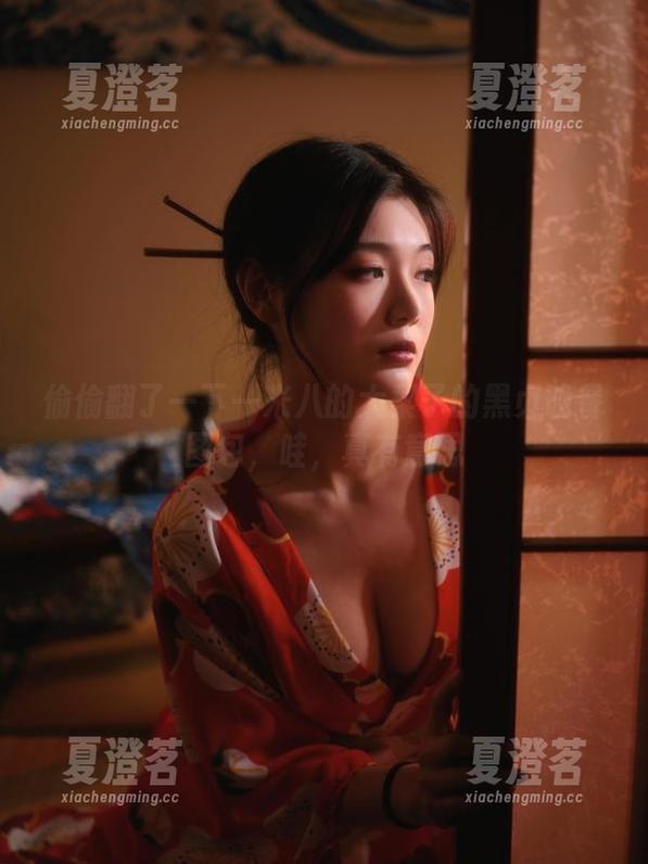 偷偷翻了一下一米八的大梨子的黑贞晚餐图包，哇，真有意思