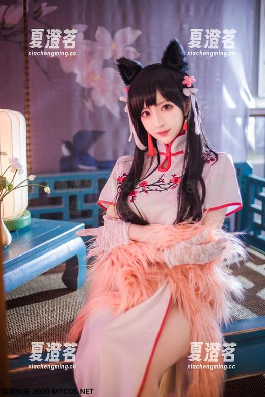 喵糖映画 喵糖映画出品:兔女郎全套图包,看完只想一路哔哔叭叭狂奔!